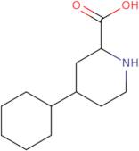 4-Cyclohexylpiperidine-2-carboxylic acid