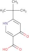 6-(tert-Butyl)-4-hydroxynicotinic acid