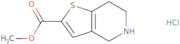 Methyl 4,5,6,7-tetrahydrothieno[3,2-c]pyridine-2-carboxylate hydrochloride