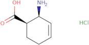 Cis-2-Amino-cyclohex-3-enecarboxylic acid hydrochloride