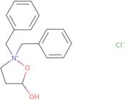 2,2-Dibenzyl-5-hydroxy-1,2-oxazolidin-2-ium chloride