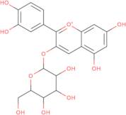 Cyanidin 3-o- galactopyranoside