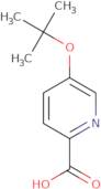 5-(tert-Butoxy)pyridine-2-carboxylic acid