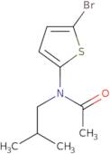 N-(5-Bromothiophen-2-yl)-N-(2-methylpropyl)acetamide