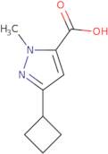 3-Cyclobutyl-1-methyl-1H-pyrazole-5-carboxylic acid