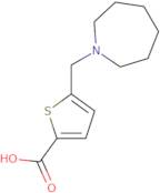 5-(Azepan-1-ylmethyl)thiophene-2-carboxylic acid