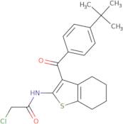 N-[3-(4-tert-Butylbenzoyl)-4,5,6,7-tetrahydro-1-benzothiophen-2-yl]-2-chloroacetamide