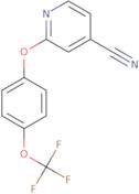 2-[4-(Trifluoromethoxy)phenoxy]isonicotinonitrile