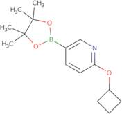 6-(Cyclobutoxy)pyridine-3-boronic acid pinacol ester