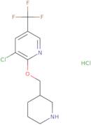 3-Chloro-2-(piperidin-3-ylmethoxy)-5-trifluoromethyl-pyridine hydrochloride