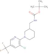 (3'-Chloro-5'-trifluoromethyl-3,4,5,6-tetrahydro-2H-[1,2']bipyridinyl-3-ylmethyl)-carbamic acid te…