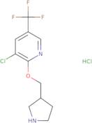 3-Chloro-2-(pyrrolidin-3-ylmethoxy)-5-trifluoromethyl-pyridine hydrochloride