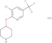 3-Chloro-2-(piperidin-4-yloxy)-5-trifluoromethyl-pyridine hydrochloride