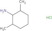 2,6-Dimethylcyclohexan-1-amine hydrochloride