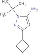 1-tert-butyl-3-Cyclobutyl-1H-pyrazol-5-amine
