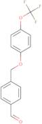 4-[4-(Trifluoromethoxy)phenoxymethyl]benzaldehyde