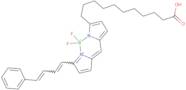 c11 Bodipy 581/591