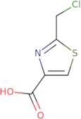 2-(Chloromethyl)-1,3-thiazole-4-carboxylic acid
