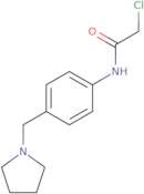 2-Chloro-N-(4-pyrrolidin-1-ylmethyl-phenyl)-acetamide