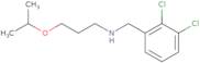 (2,3-Dichloro-benzyl)-(3-isopropoxy-propyl)-amine