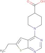 1-(6-Ethyl-thieno[2,3-d]pyrimidin-4-yl)-piperidine-4-carboxylic acid