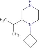 1-Cyclobutyl-2-(propan-2-yl)piperazine