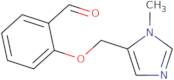 2-[(1-Methyl-1H-imidazol-5-yl)methoxy]benzaldehyde