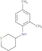 N-(2,4-Dimethylphenyl)thian-3-amine