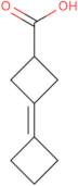 3-Cyclobutylidenecyclobutane-1-carboxylic acid