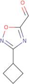 3-Cyclobutyl-1,2,4-oxadiazole-5-carbaldehyde