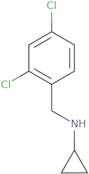 N-[(2,4-Dichlorophenyl)methyl]cyclopropanamine