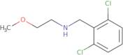 [(2,6-Dichlorophenyl)methyl](2-methoxyethyl)amine