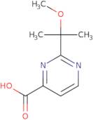 2-(2-Methoxypropan-2-yl)pyrimidine-4-carboxylic acid