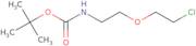 tert-Butyl N-[2-(2-chloroethoxy)ethyl]carbamate