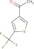 1-[5-(Trifluoromethyl)thiophen-3-yl]ethan-1-one