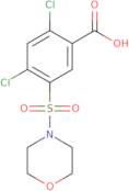 2,4-Dichloro-5-(morpholine-4-sulfonyl)benzoic acid