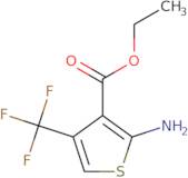 Ethyl 2-amino-4-(trifluoromethyl)thiophene-3-carboxylate