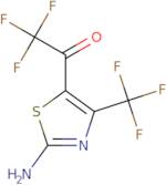 1-[2-Amino-4-(trifluoromethyl)-1,3-thiazol-5-yl]-2,2,2-trifluoroethan-1-one