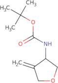 tert-Butyl N-(4-methylideneoxolan-3-yl)carbamate