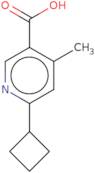 6-Cyclobutyl-4-methylpyridine-3-carboxylic acid