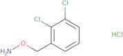 o-[(2,3-Dichlorophenyl)methyl]hydroxylamine hydrochloride