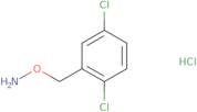 o-[(2,5-Dichlorophenyl)methyl]hydroxylamine hydrochloride