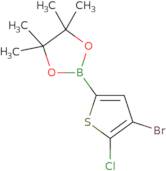 4-Bromo-5-chlorothiophene-2-boronic acid pinacol ester