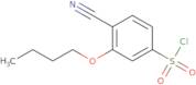 3-Butoxy-4-cyanobenzenesulfonyl chloride