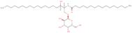 c16 Galactosyl (A) dihydroceramide (d18:0/16:0)