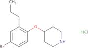 2-Methylsulfonyl-5-(pyrrolidin-1-yl)aniline