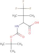 2-{[(tert-Butoxy)carbonyl]amino}-4,4,4-trifluoro-3,3-dimethylbutanoic acid