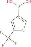 [5-(Trifluoromethyl)thiophen-3-yl]boronic acid