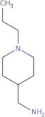 C-(1-Propyl-piperidin-4-yl)-methylamine