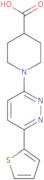 1-[6-(Thiophen-2-yl)pyridazin-3-yl]piperidine-4-carboxylic acid